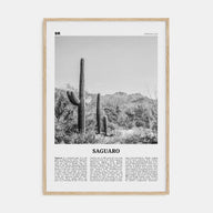 Saguaro National Park Travel B&W Poster