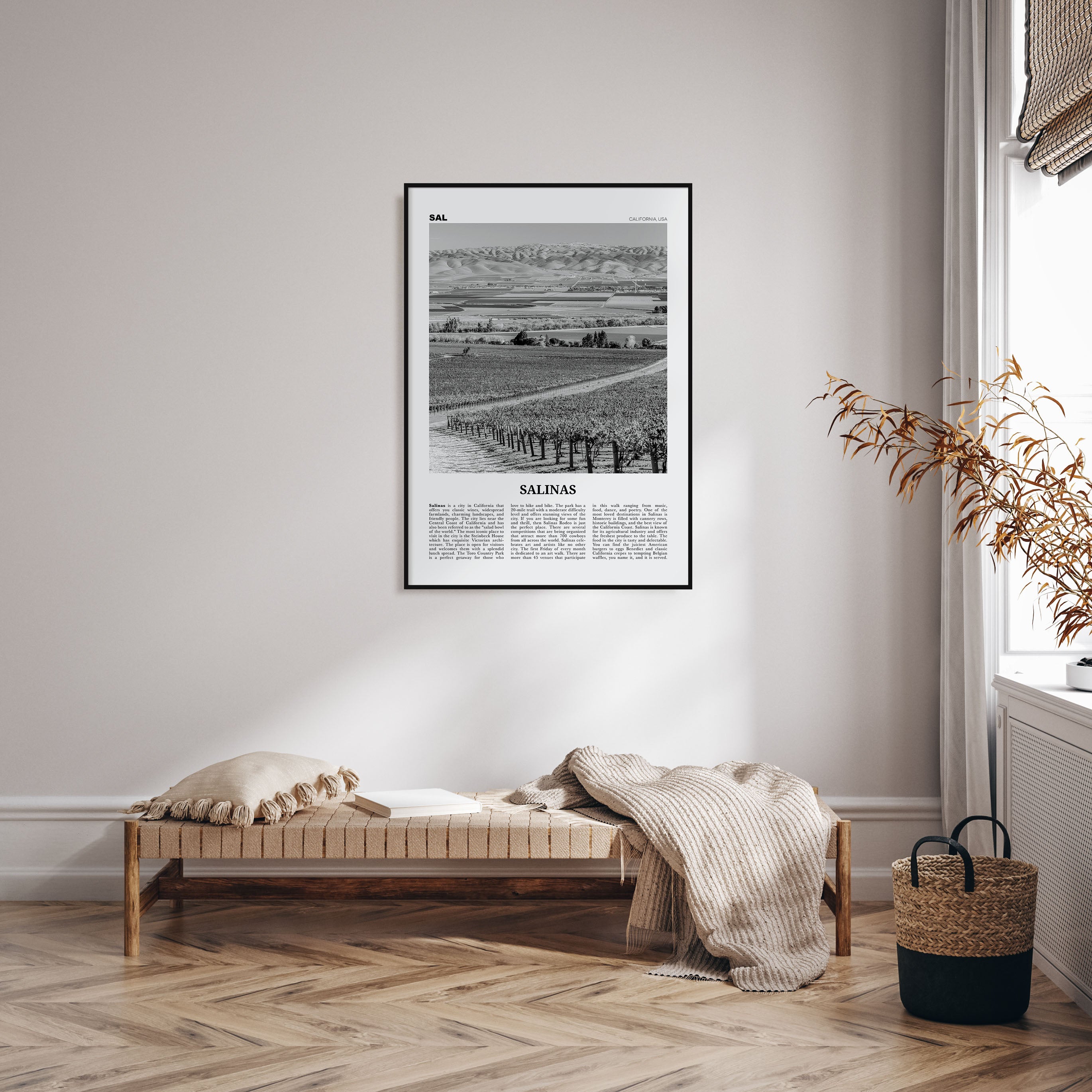 Salinas Travel B&W Poster
