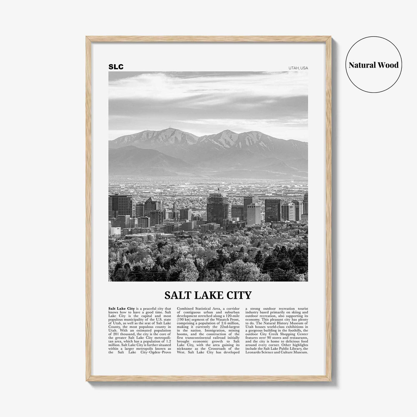 Salt Lake City Print Black and White No 1, Salt Lake Wall Art, Salt Lake Poster, Salt Lake Photo, Utah, USA, United States North America