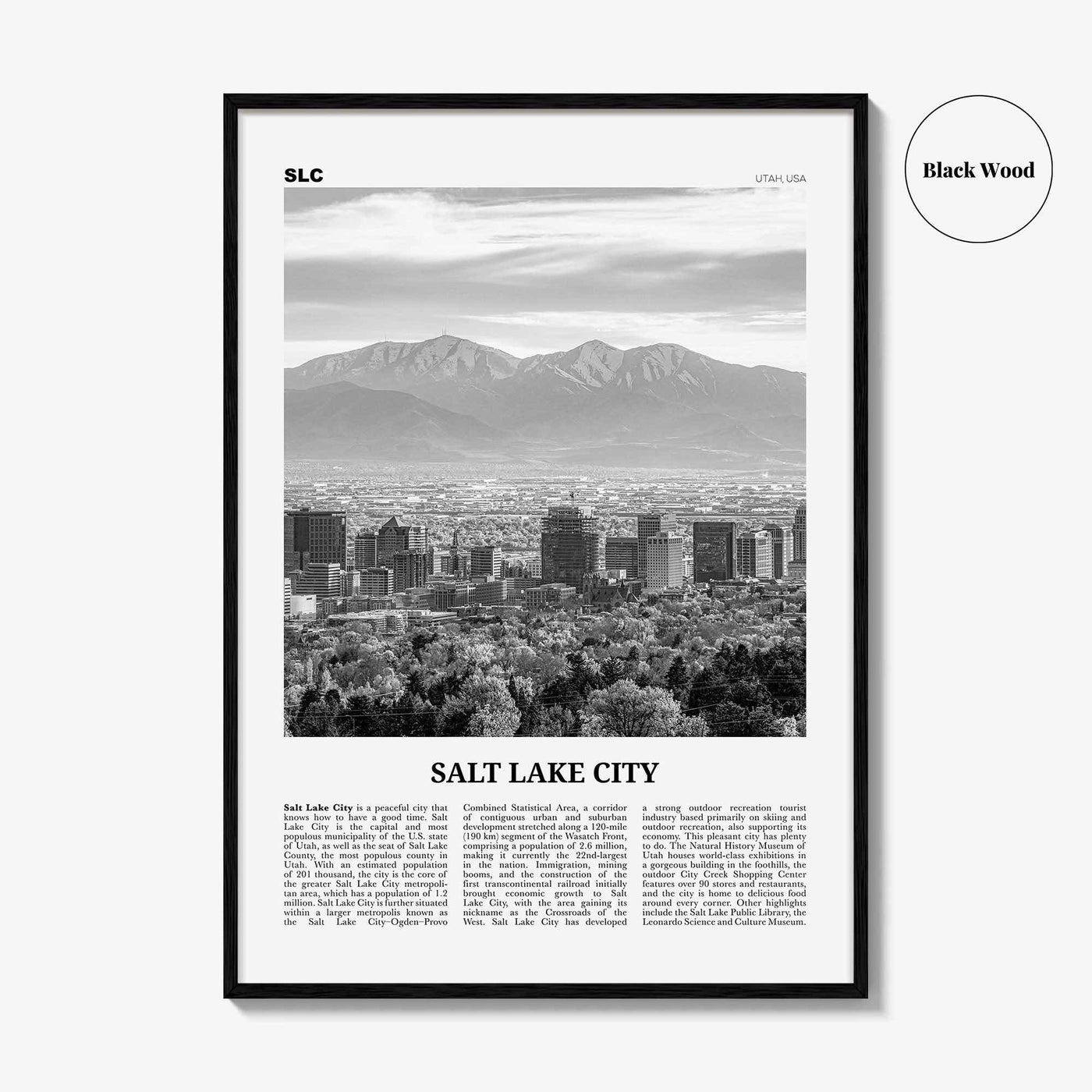 Salt Lake City Print Black and White No 1, Salt Lake Wall Art, Salt Lake Poster, Salt Lake Photo, Utah, USA, United States North America