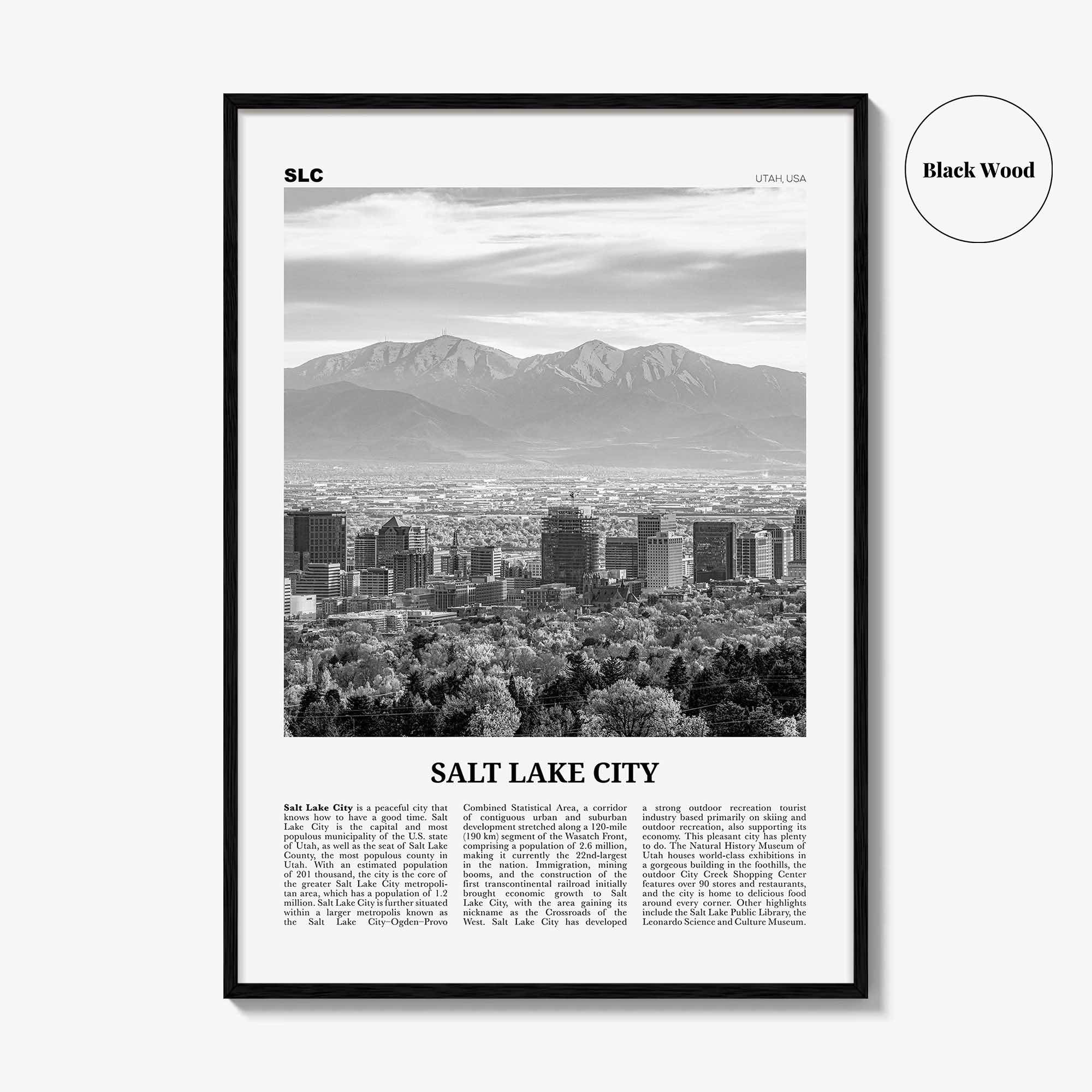 Salt Lake City Print Black and White No 1, Salt Lake Wall Art, Salt Lake Poster, Salt Lake Photo, Utah, USA, United States North America