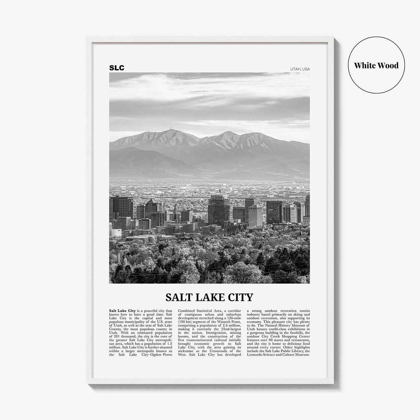 Salt Lake City Print Black and White No 1, Salt Lake Wall Art, Salt Lake Poster, Salt Lake Photo, Utah, USA, United States North America