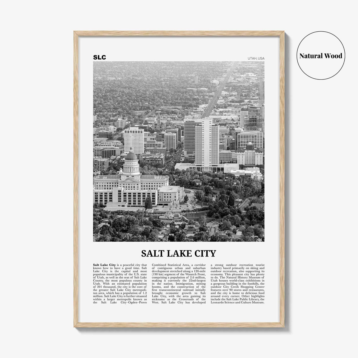 Salt Lake City Print Black and White No 2, Salt Lake Wall Art, Salt Lake Poster, Salt Lake Photo, Utah, USA, United States North America