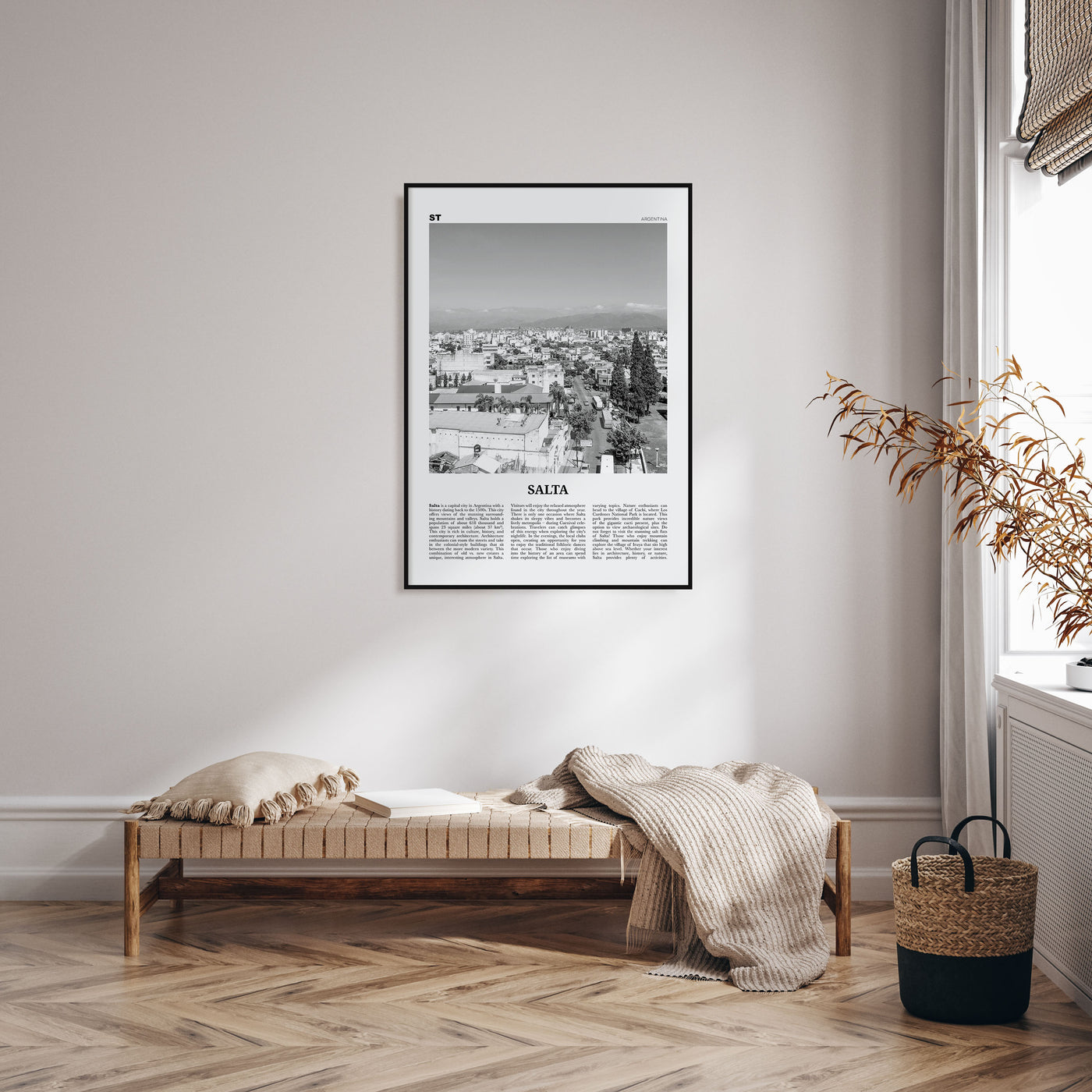 Salta Travel B&W Poster