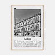 Saltillo Travel B&W Poster
