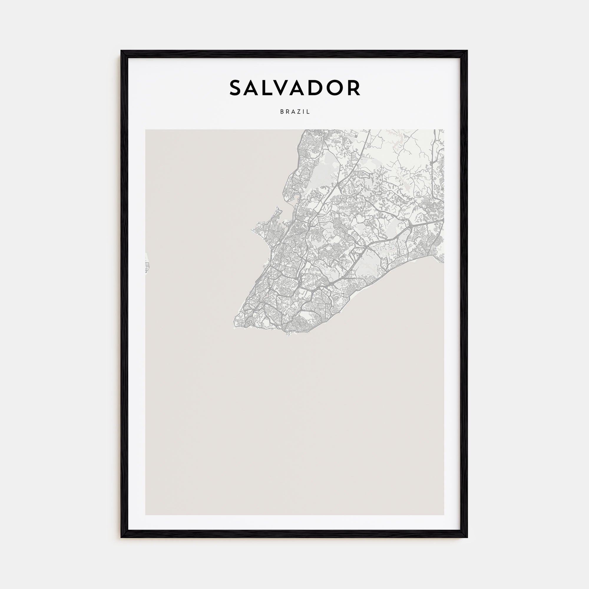 Salvador Map Portrait Poster