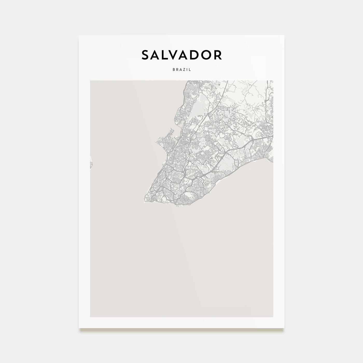 Salvador Map Portrait Poster