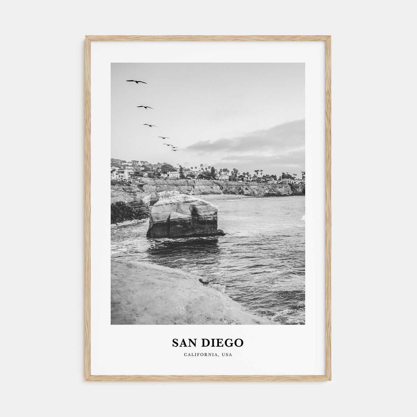 San Diego Portrait B&W No 6 Poster