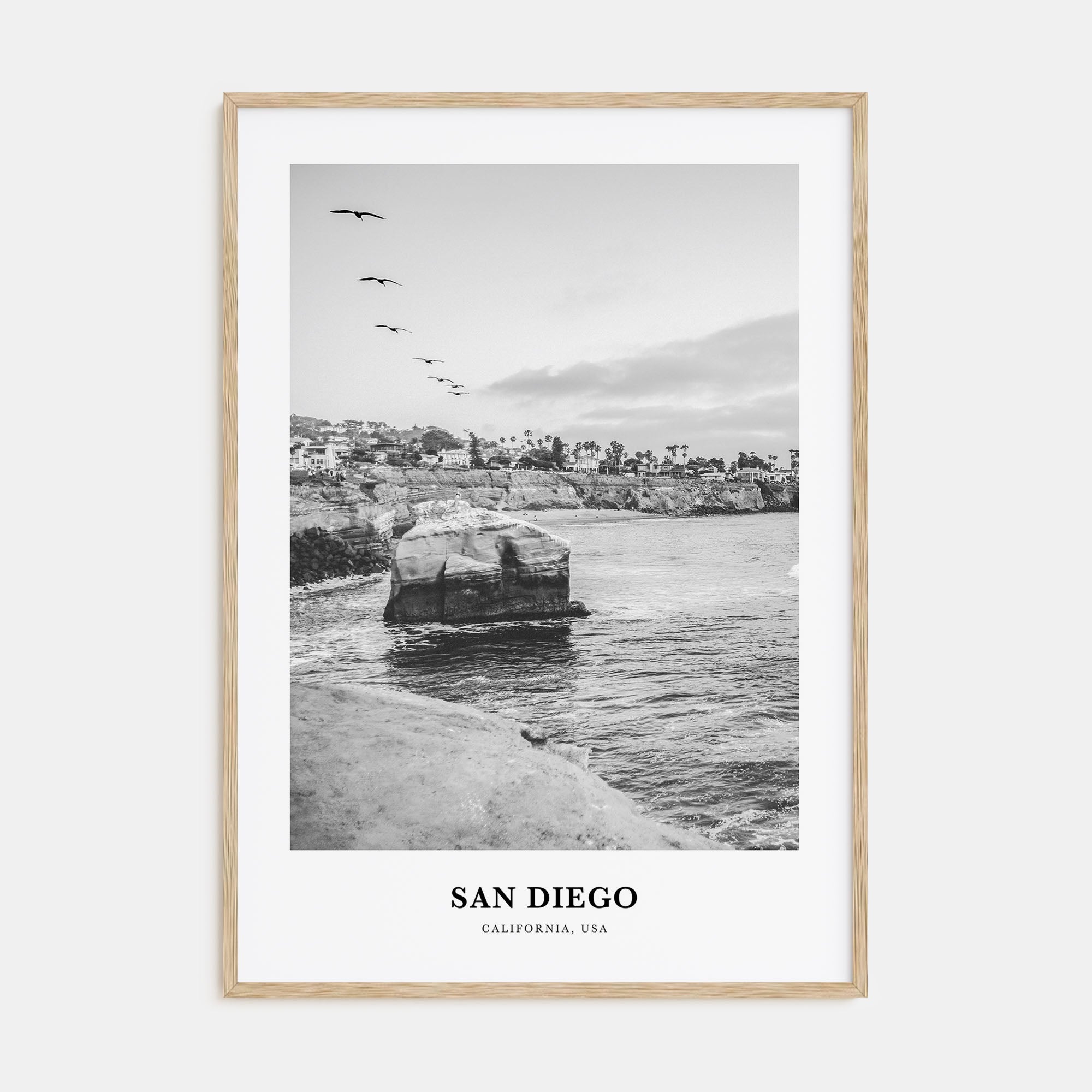 San Diego Portrait B&W No 6 Poster