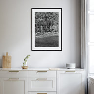 Santa Catalina Island Photo B&W Poster