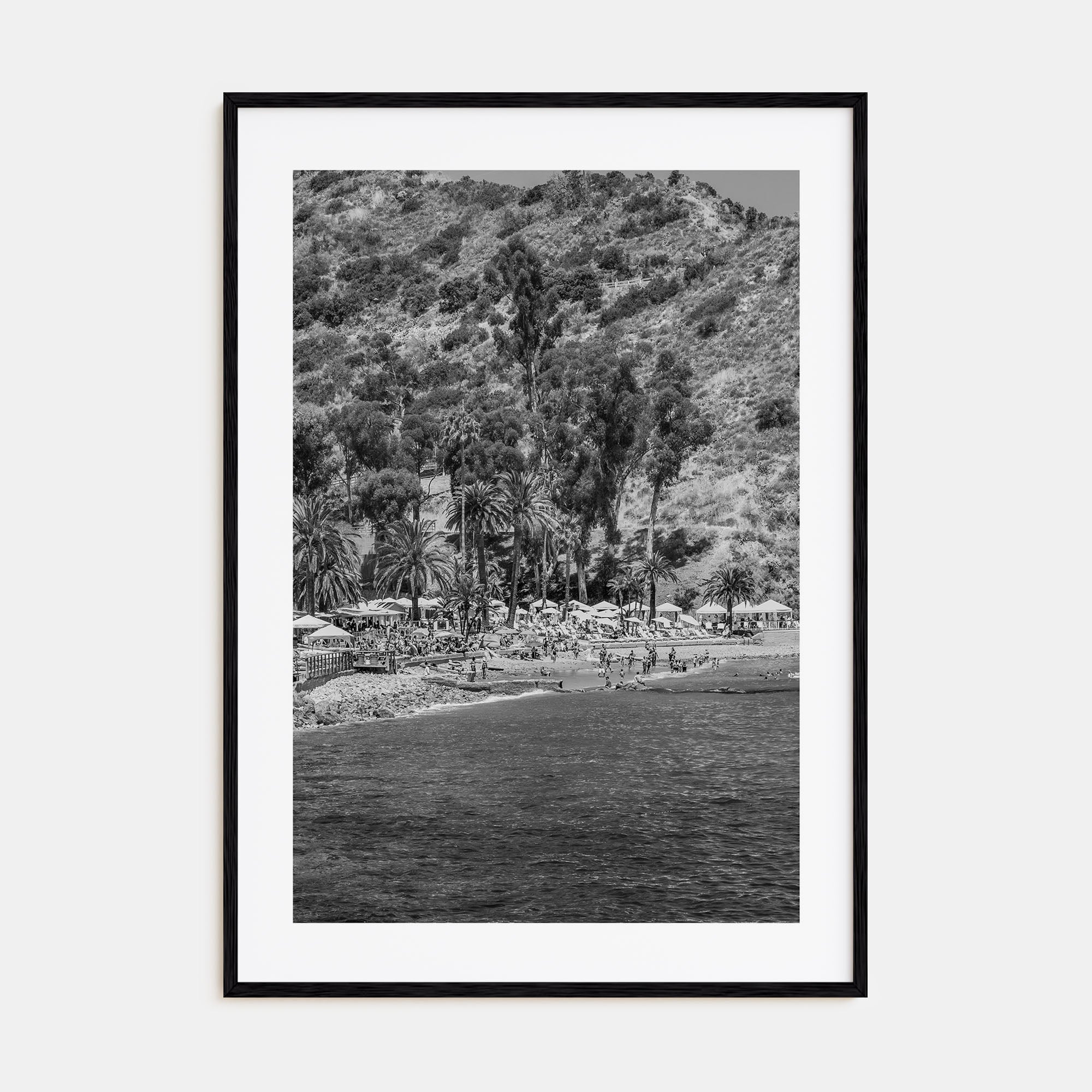 Santa Catalina Island Photo B&W Poster