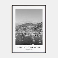 Santa Catalina Island Portrait B&W No 2 Poster