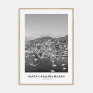 Santa Catalina Island Portrait B&W No 2 Poster