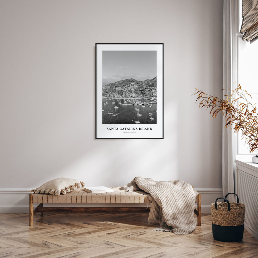 Santa Catalina Island Portrait B&W No 2 Poster
