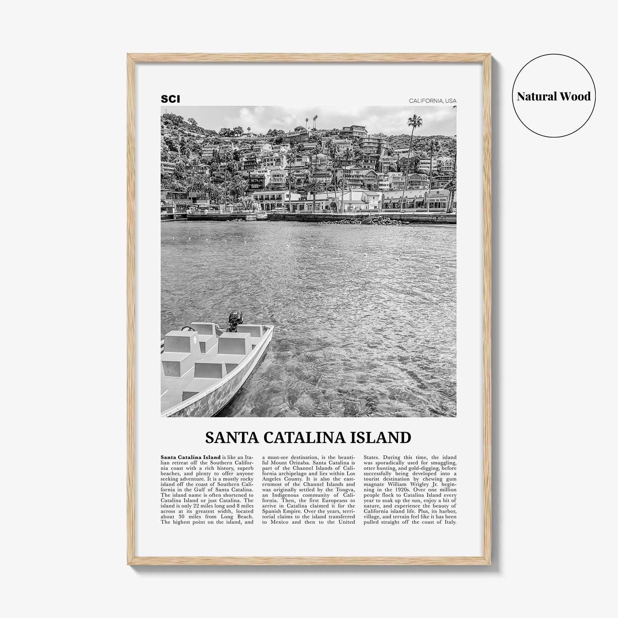 Santa Catalina Island Print Black and White No 1, Santa Catalina Island Wall Art, Santa Catalina Island Poster, Santa Catalina, California