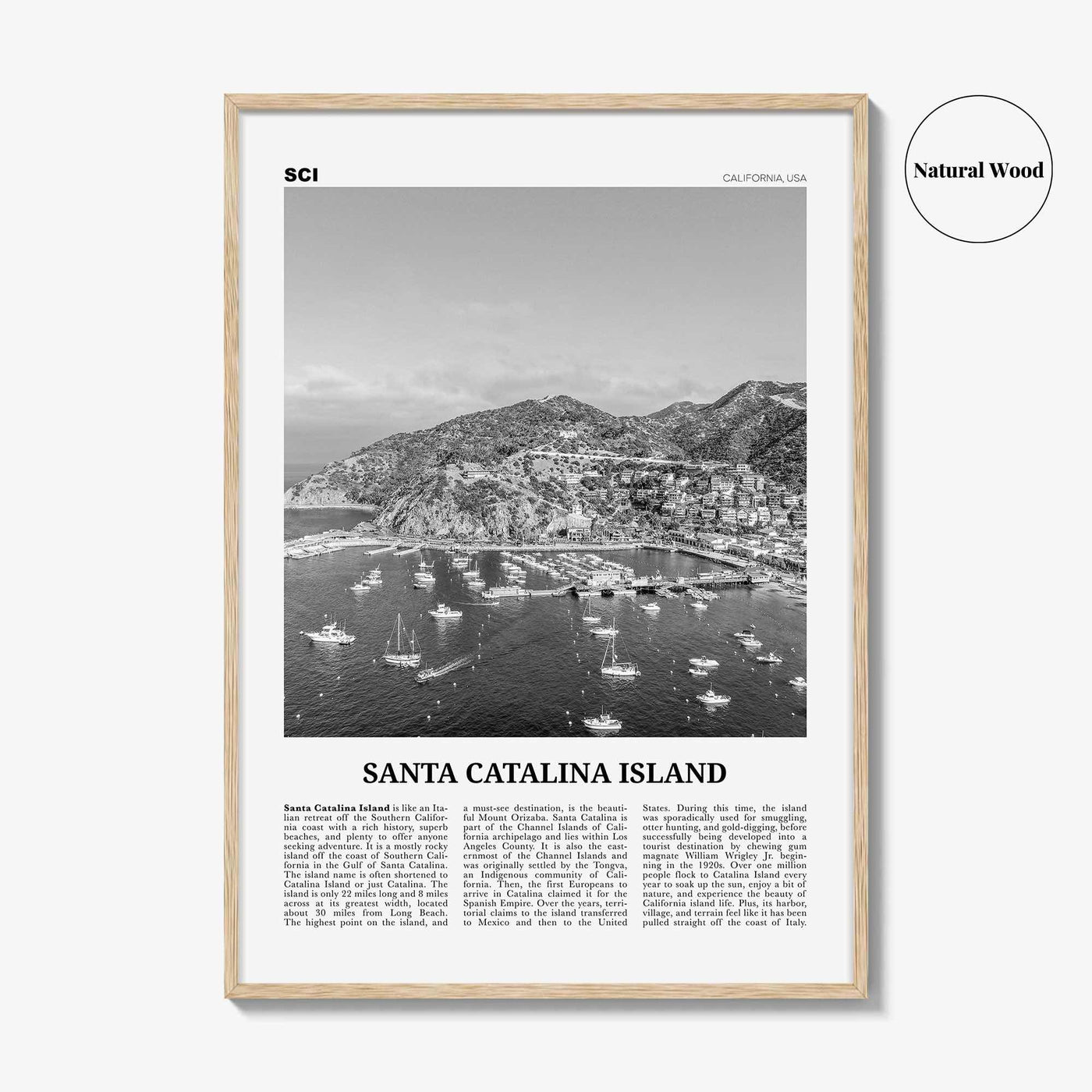 Santa Catalina Island Print Black and White No 2, Santa Catalina Island Wall Art, Santa Catalina Island Poster, Santa Catalina, California