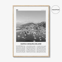 Santa Catalina Island Print Black and White No 2, Santa Catalina Island Wall Art, Santa Catalina Island Poster, Santa Catalina, California