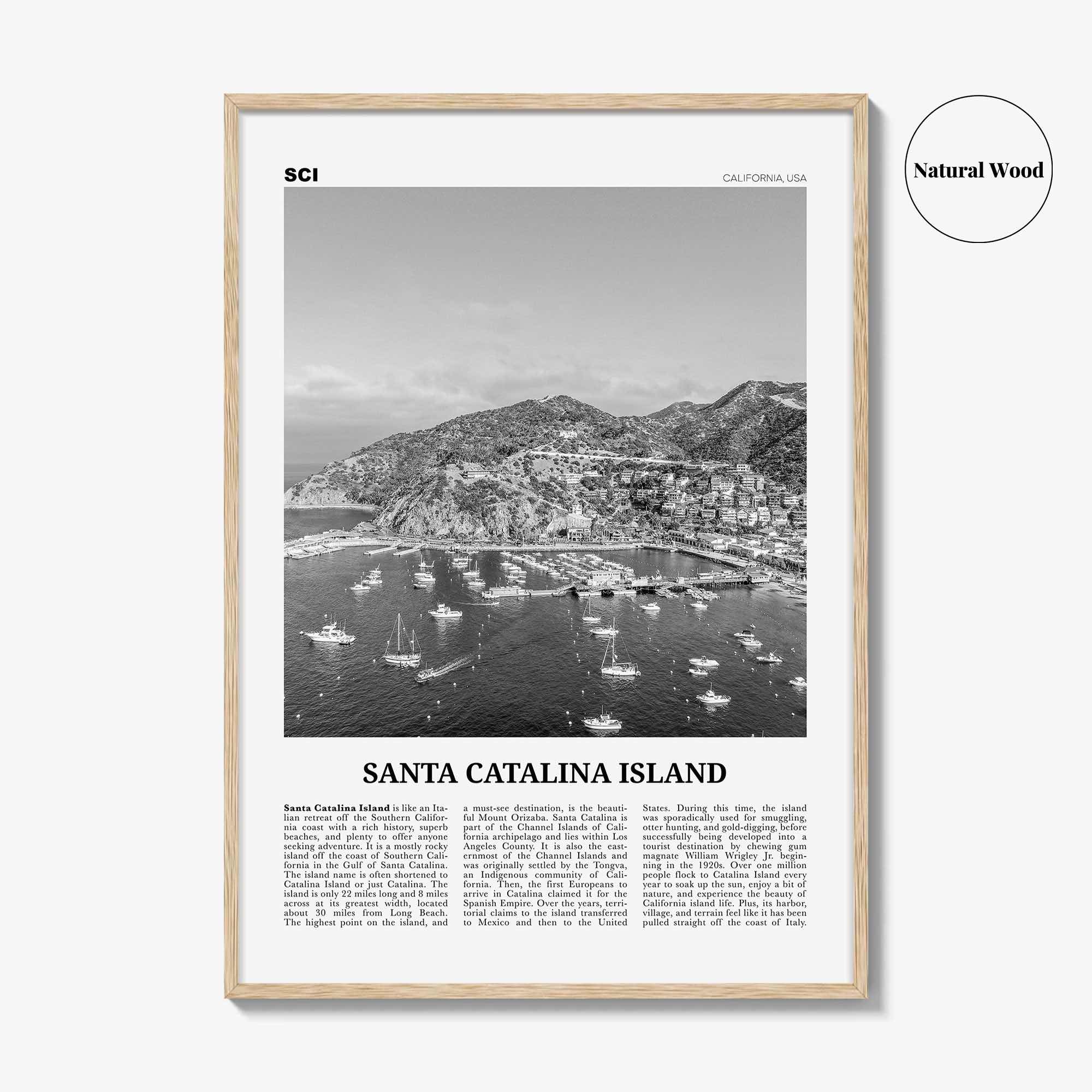 Santa Catalina Island Print Black and White No 2, Santa Catalina Island Wall Art, Santa Catalina Island Poster, Santa Catalina, California