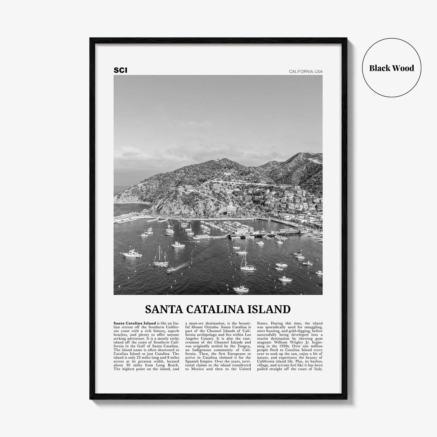 Santa Catalina Island Print Black and White No 2, Santa Catalina Island Wall Art, Santa Catalina Island Poster, Santa Catalina, California