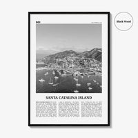 Santa Catalina Island Print Black and White No 2, Santa Catalina Island Wall Art, Santa Catalina Island Poster, Santa Catalina, California