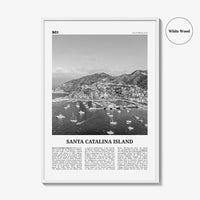 Santa Catalina Island Print Black and White No 2, Santa Catalina Island Wall Art, Santa Catalina Island Poster, Santa Catalina, California