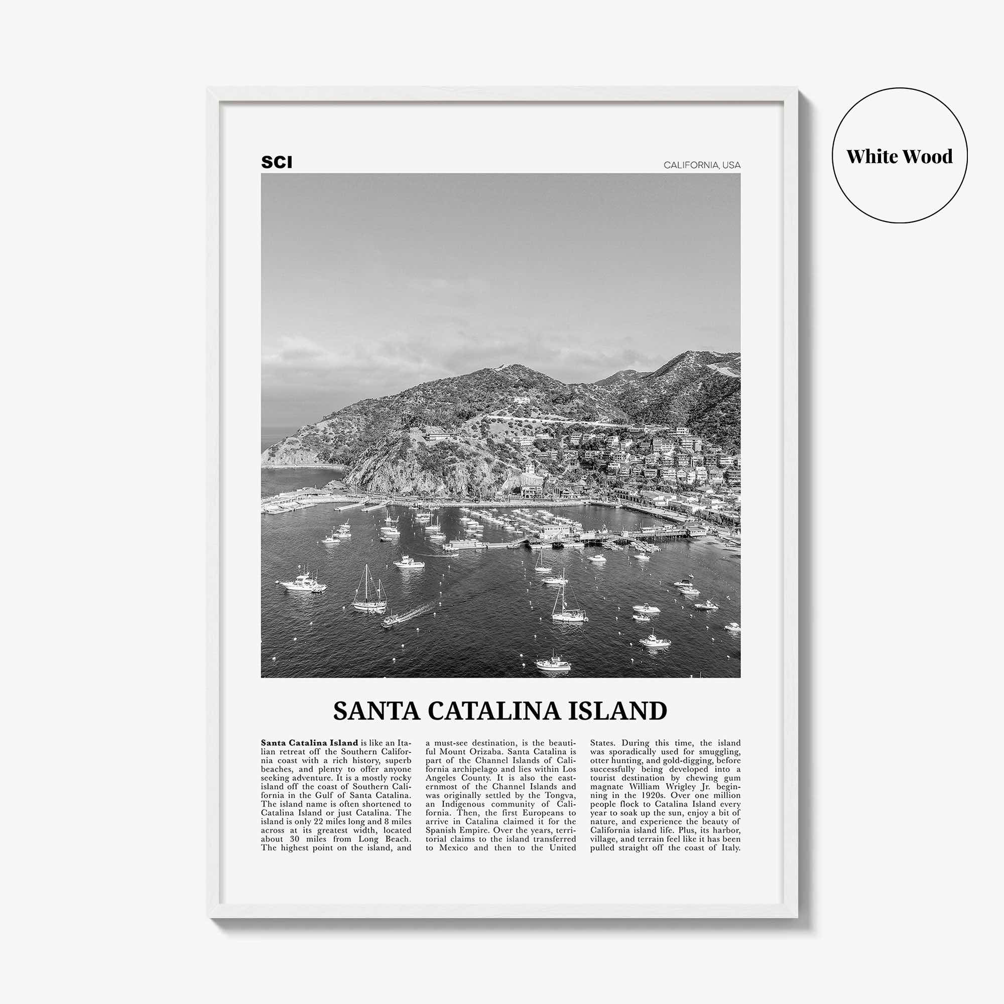 Santa Catalina Island Print Black and White No 2, Santa Catalina Island Wall Art, Santa Catalina Island Poster, Santa Catalina, California