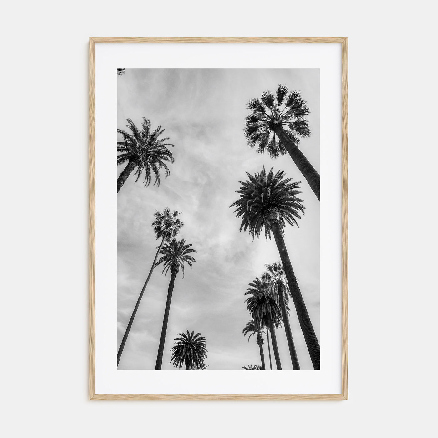 Santa Monica Photo B&W No 1 Poster