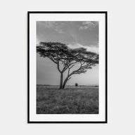 Savannah Photo B&W No 2 Poster