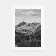 Scandinavian Forest Photo B&W No 1 Poster