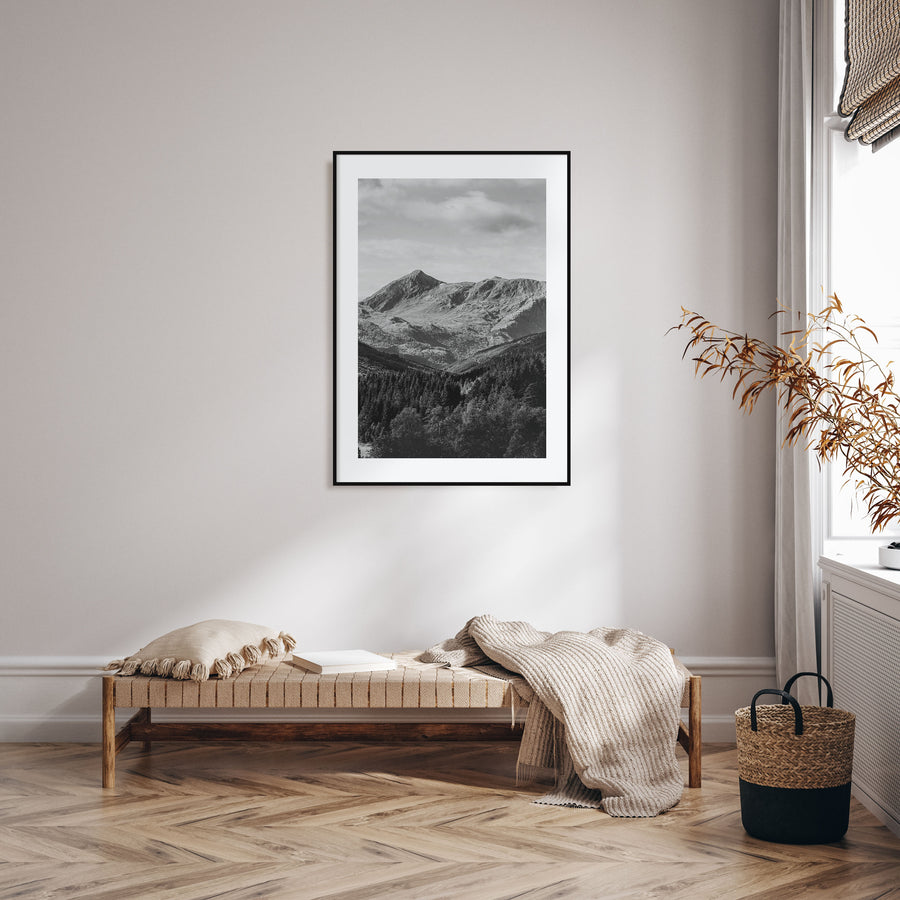 Scandinavian Forest Photo B&W No 1 Poster