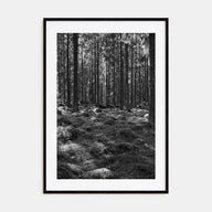 Scandinavian Forest Photo B&W No 2 Poster
