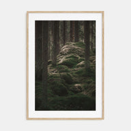 Scandinavian Forest Photo Color No 2 Poster