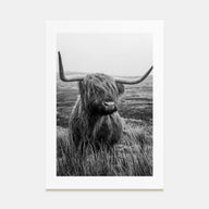 Scottish Highlander Photo B&W No 1 Poster