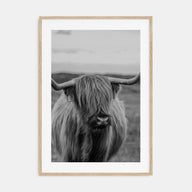 Scottish Highlander Photo B&W No 2 Poster