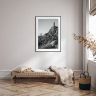 Scottsdale Photo B&W No 2 Poster