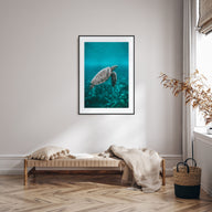 Sea Turtle Photo Color No 2 Poster