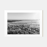 Seal Beach Landscape B&W Poster