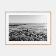 Seal Beach Landscape B&W Poster