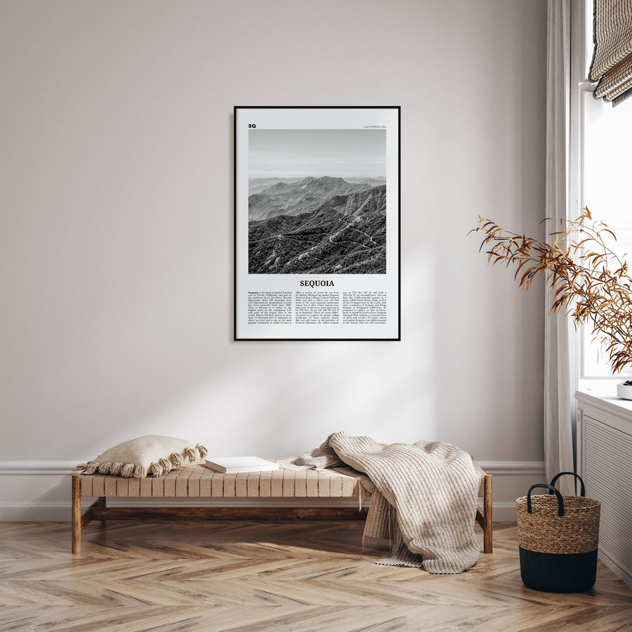 Sequoia National Park Travel B&W Poster