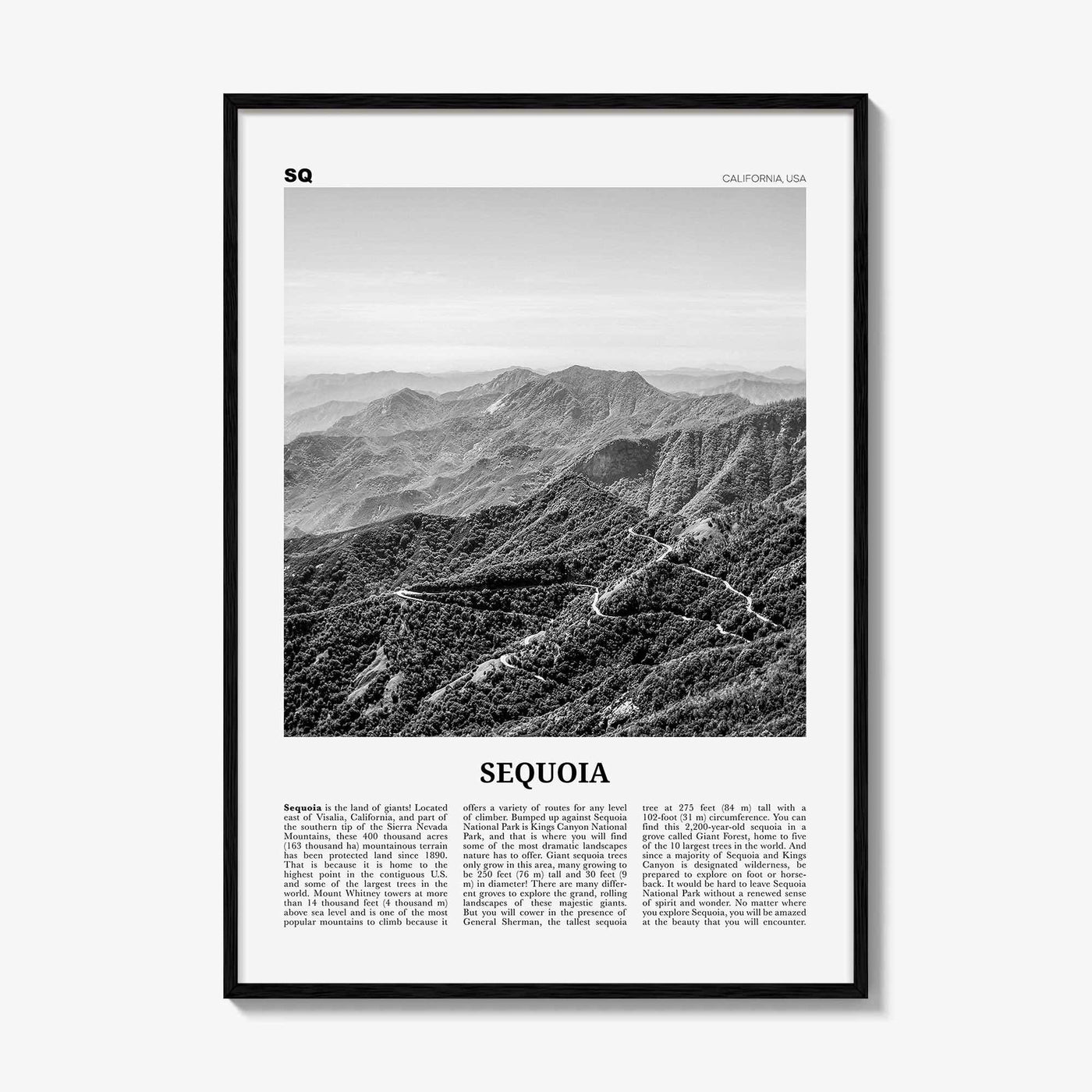 Sequoia National Park Print Black and White, Sequoia Wall Art, Sequoia Poster, Sequoia Photo, California, USA, United States, North America