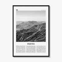 Sequoia National Park Print Black and White, Sequoia Wall Art, Sequoia Poster, Sequoia Photo, California, USA, United States, North America
