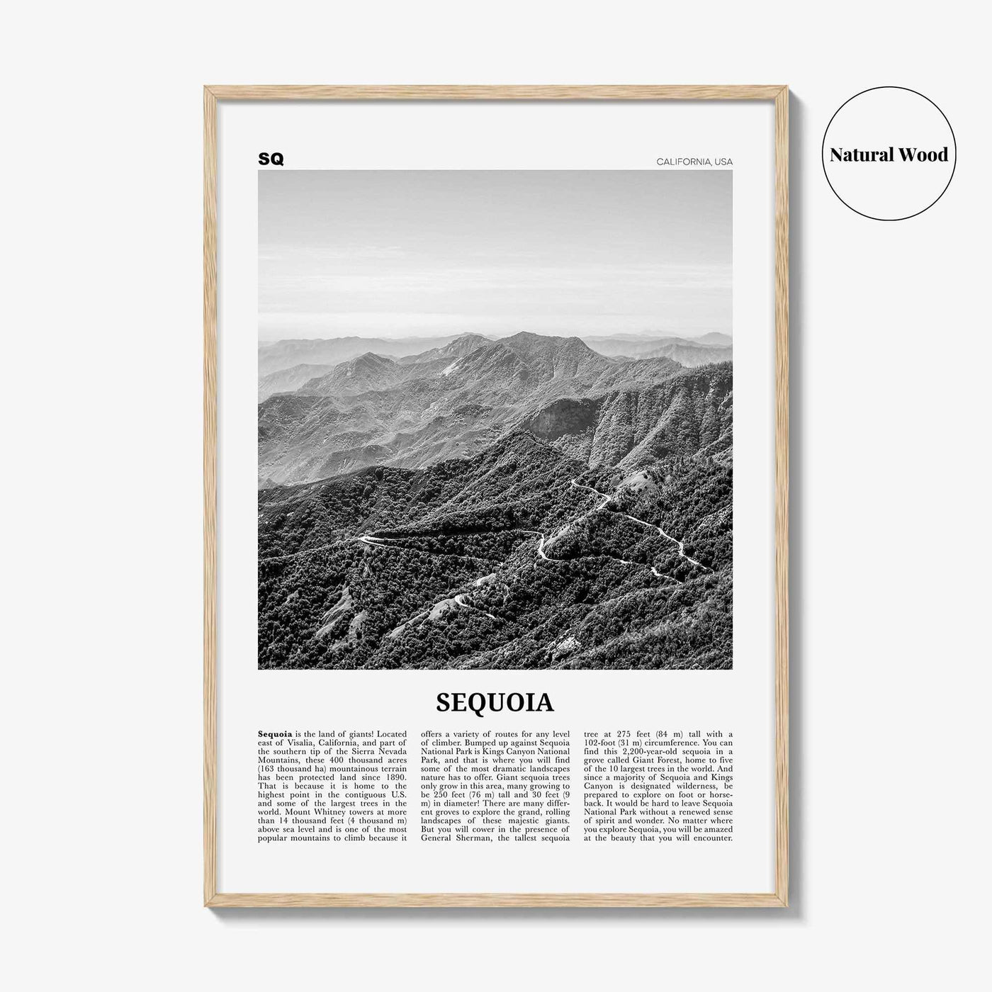 Sequoia National Park Print Black and White, Sequoia Wall Art, Sequoia Poster, Sequoia Photo, California, USA, United States, North America