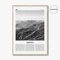 Sequoia National Park Print Black and White, Sequoia Wall Art, Sequoia Poster, Sequoia Photo, California, USA, United States, North America