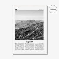 Sequoia National Park Print Black and White, Sequoia Wall Art, Sequoia Poster, Sequoia Photo, California, USA, United States, North America