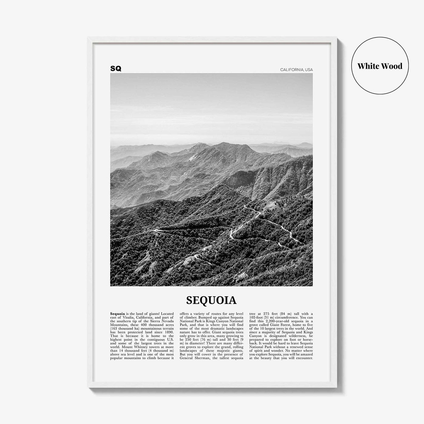 Sequoia National Park Print Black and White, Sequoia Wall Art, Sequoia Poster, Sequoia Photo, California, USA, United States, North America