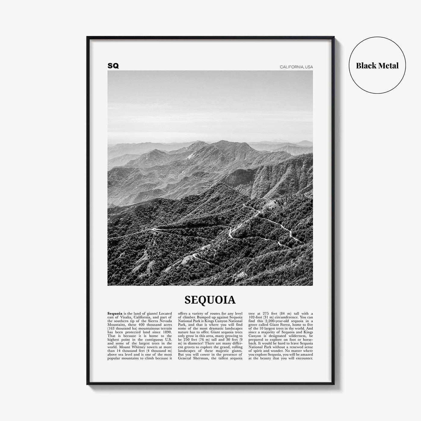 Sequoia National Park Print Black and White, Sequoia Wall Art, Sequoia Poster, Sequoia Photo, California, USA, United States, North America
