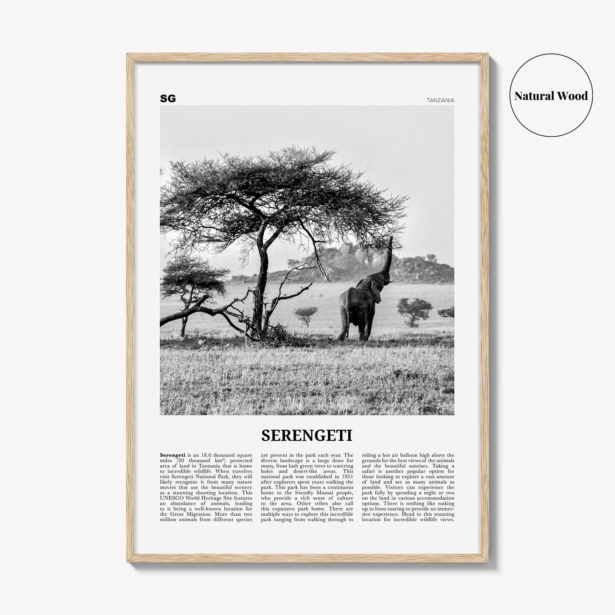 Serengeti National Park Poster