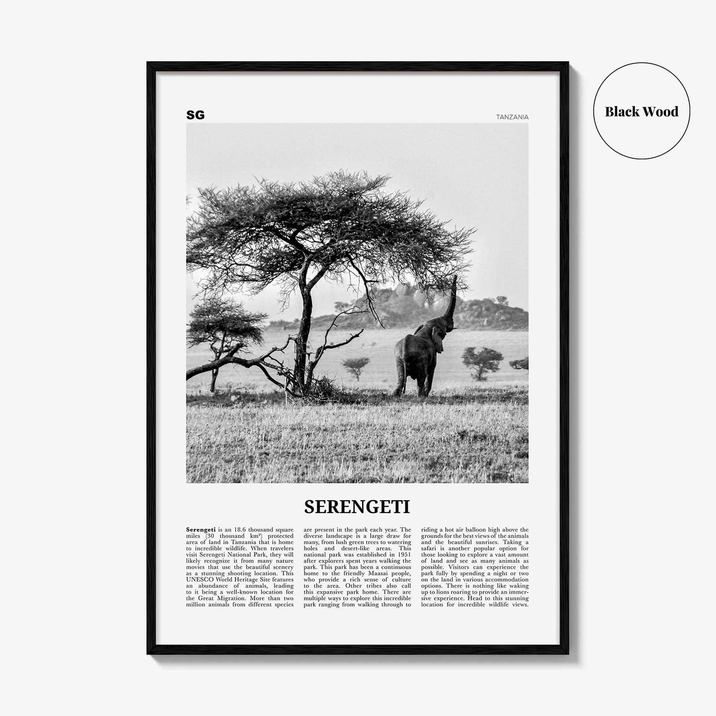 Serengeti National Park Poster