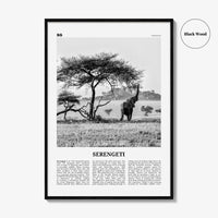 Serengeti National Park Poster