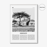 Serengeti National Park Poster